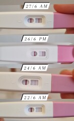 Due Late Feb / Early March 2023 💖💙💐🌈