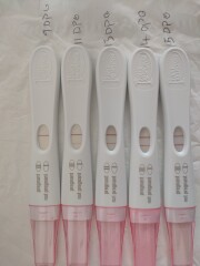 Due Feb/Mar after MC 🌈 🙈
