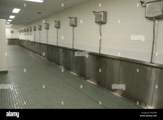 Dad in women's loo .