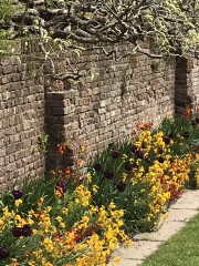 Help plan "dream" break in south east