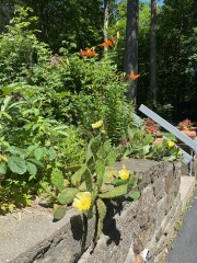 Come and tell me your dull and unexciting news 23: Calmly through the day 