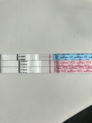 Obsessive testers welcome!