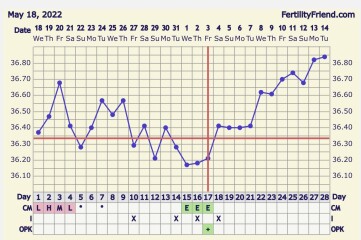 Trying to Conceive over 40 part 3