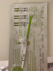 Is this a positive ovulation test?