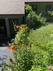 Come and tell me your dull and unexciting news 23: Calmly through the day 