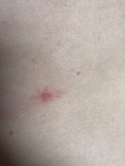 Anyone know what these are?