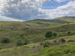 Come chat hiking with me!