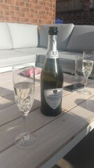 I'm drinking a cold fizzy wine in the garden. Anyone care to join me? 