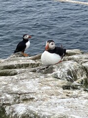 Come and tell me your dull and unexciting news 22: Calmly through the day