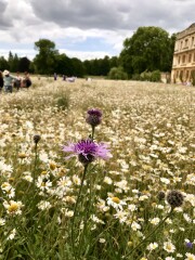 Come and tell me your dull and unexciting news 23: Calmly through the day 