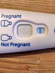 FRER Evap?