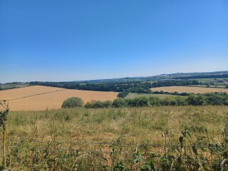 Come chat hiking with me!