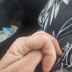 What on earth is biting me? Such pain!