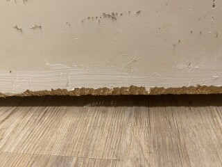 Repairing chewed doors?