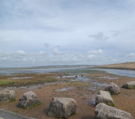 Come chat hiking with me!