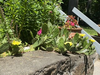 Come and tell me your dull and unexciting news 22: Calmly through the day