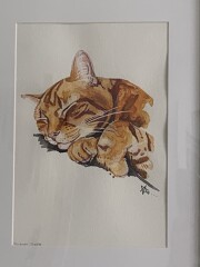 To ask which painting you like best