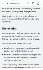 Ovarian cancer definition