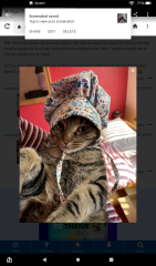 To a life well spent – RIP Cap'n V