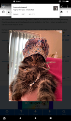To a life well spent – RIP Cap'n V