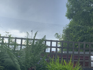 Anyone escaped proofed their garden?
