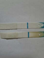 Faint line on preg test - 4 days before due on