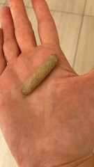 Any fossil experts?