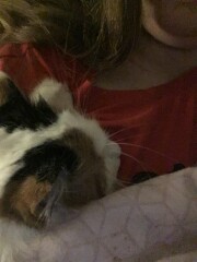 Tell me about your cats weird quirks *light hearted*
