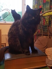 To a life well spent – RIP Cap'n V