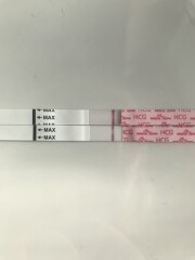 Obsessive testers welcome!
