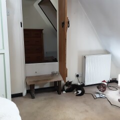 Current Year 11 - 2 more weeks of exams!!