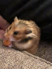 Current Year 11 - 2 more weeks of exams!!