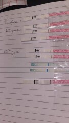 positive pregnancy tests in the evenings and negative in the day