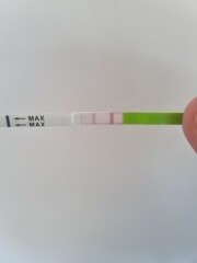 Is this positive ovulation test