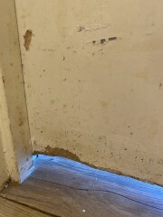 Repairing chewed doors?