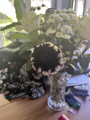What's this flower?