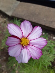 Show Us Your Pictures 6