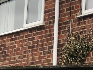 Ivygate