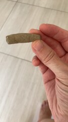 Any fossil experts?