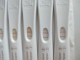Due Feb/Mar after MC 🌈 🙈