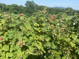 Come and tell me your dull and unexciting news 23: Calmly through the day 