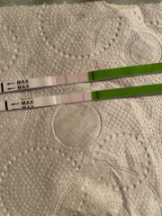 Please help. Ovulation tests
