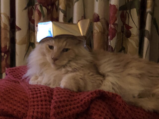 Current Year 11 - 2 more weeks of exams!!