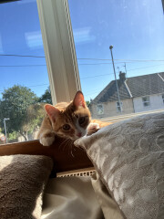 Is this the start of BFP?