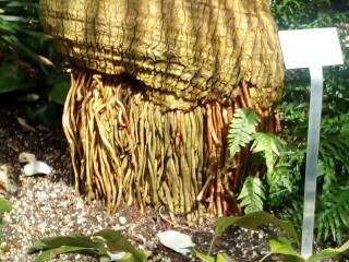 Come and tell me your dull and unexciting news 22: Calmly through the day