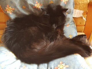 To a life well spent – RIP Cap'n V