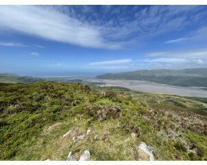 Come chat hiking with me!