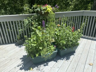 Come and tell me your dull and unexciting news 22: Calmly through the day