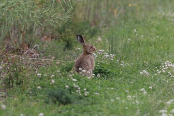 Come chat hiking with me!