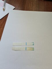 Faint line on preg test - 4 days before due on